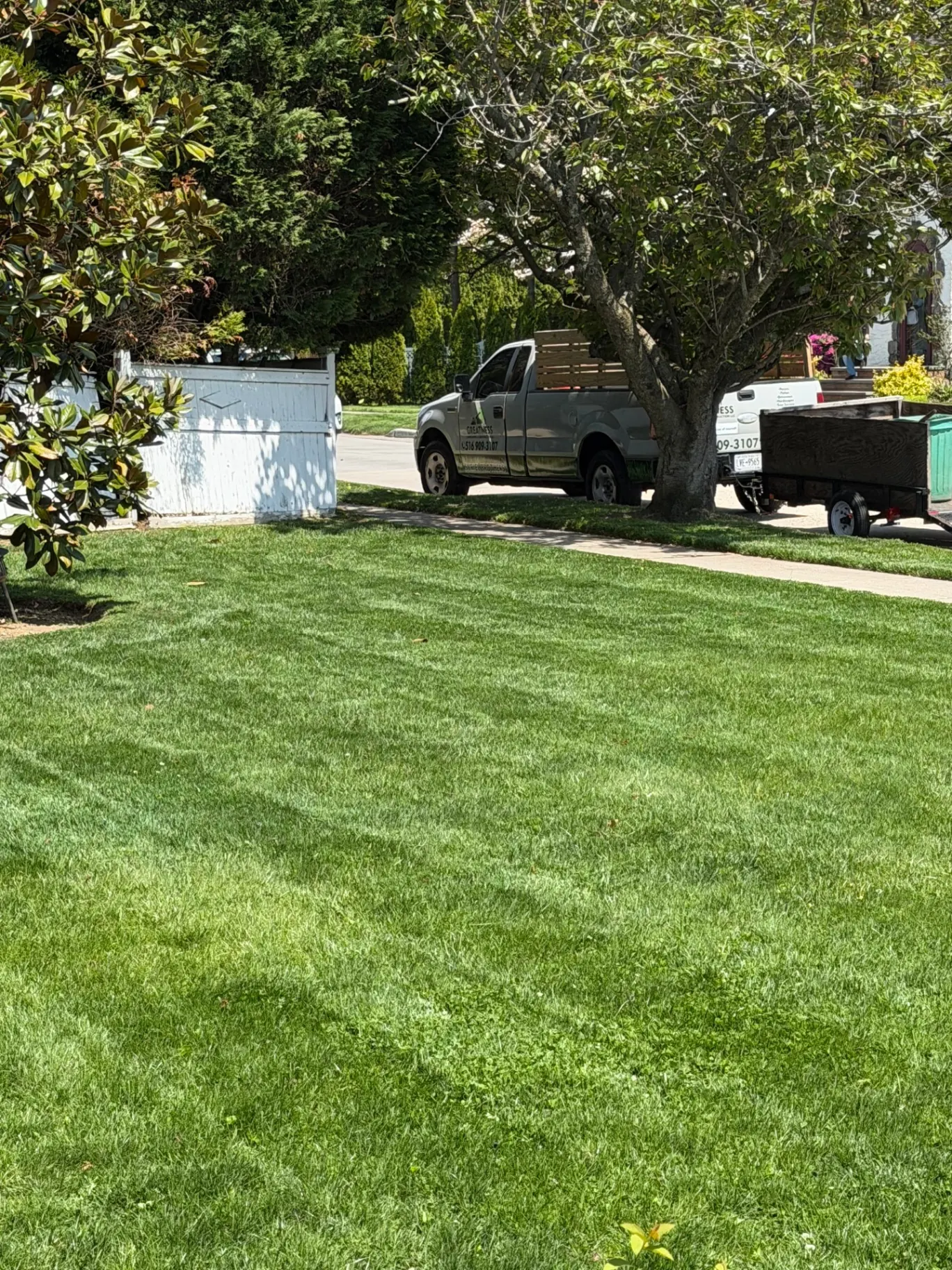 Lawn Care & Maintenance