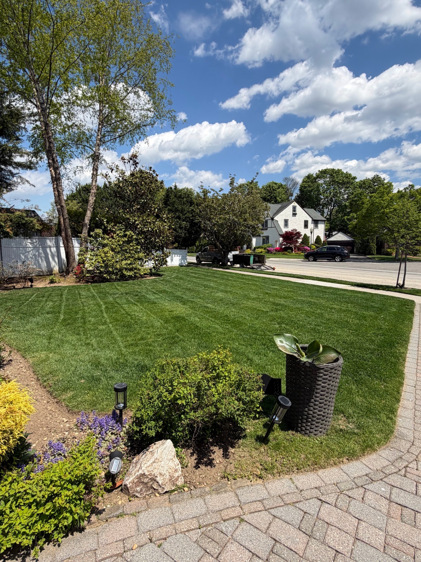 Sod Installation & Grass Seeding